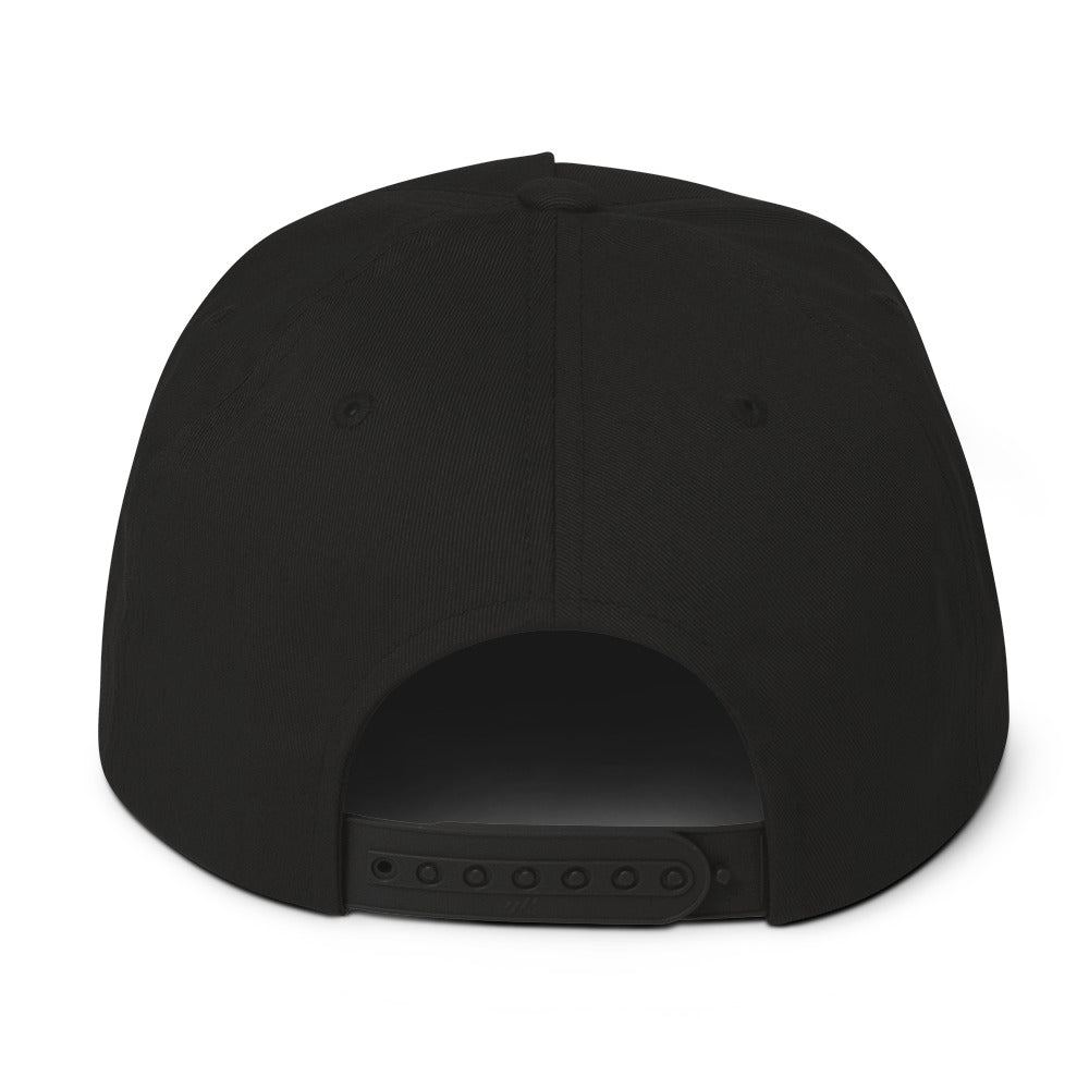 Black rear-view flat bill cap with adjustable snapback closure and structured six-panel design.